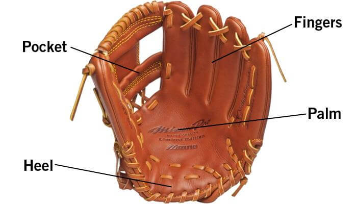 Parts of a Baseball Glove